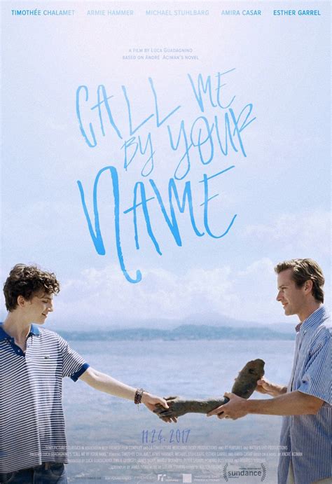 call me by your name film poster|call me by your name cast.